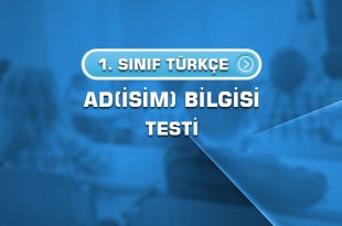 1.-sinif-ad-isim-bilgisi-testi