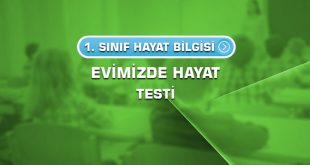 1.-sinif-hayat-bilgisi-evimizde-hayat-testi