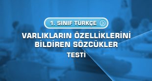 1.-sinif-turkce-varliklarin-ozelliklerini-bildiren-sozcukler-testi