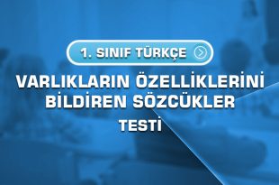 1.-sinif-turkce-varliklarin-ozelliklerini-bildiren-sozcukler-testi