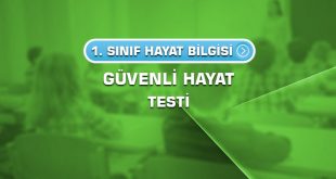 1.sinif-hayat-bilgisi-guvenli-hayat-testi