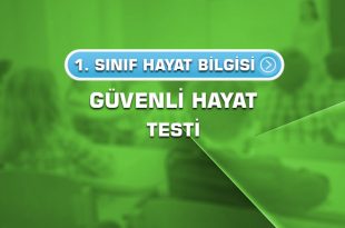 1.sinif-hayat-bilgisi-guvenli-hayat-testi