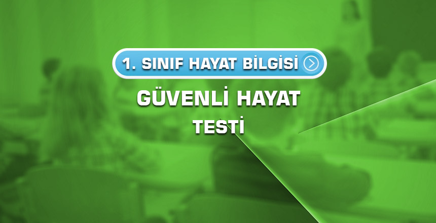 1.sinif-hayat-bilgisi-guvenli-hayat-testi