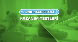1.sinif-hayat-bilgisi-kazanim-testleri