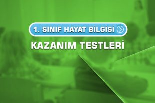 1.sinif-hayat-bilgisi-kazanim-testleri