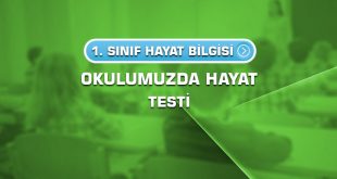 1.sinif-hayat-bilgisi-okulumuzda-hayat-testi