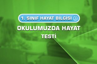 1.sinif-hayat-bilgisi-okulumuzda-hayat-testi