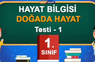 DOĞADA HAYAT