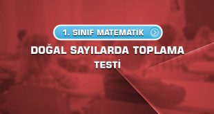 1.sinif-matematik-dogal-sayilarda-toplama-testi