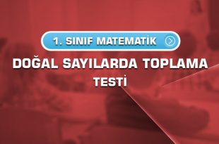 1.sinif-matematik-dogal-sayilarda-toplama-testi