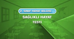 2.sinif-hayat-bilgisi-saglikli-hayat-testi