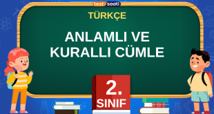 ANLAMLI VE KURALLI CÜMLE