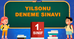 YILSONU-DENEME-SINAVI