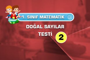 1.-sınıf-matematikdoğal-sayılar-2