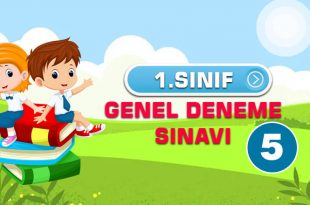 1.SINIF GENEL DENEME SINAVI 5