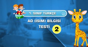 1.SINIF-TÜRKÇE-AD-BİLGİSİ-TESTİ