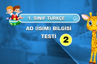 1.SINIF-TÜRKÇE-AD-BİLGİSİ-TESTİ