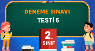 DENEME SINAVI