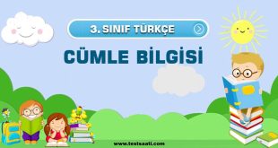 3. Sınıf TÜRKÇE CÜMLE BİLGİSİ