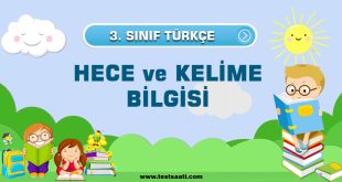 3. Sınıf-HECE ve KELİME BİLGİSİ