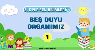 3.Sınıf-Fen-Bilimleri-BEŞ-DUYU-ORGANIMIZ-1