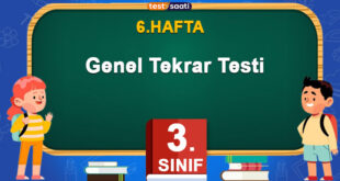 Genel Tekrar Testi