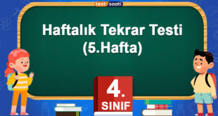 HAFTALIK TEKRAR TESTİ-(5. Hafta)