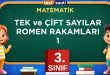 TEK ve ÇİFT SAYILAR ROMEN RAKAMLARI-1