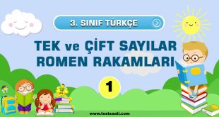 TEK ve ÇİFT SAYILAR / ROMEN RAKAMLARI