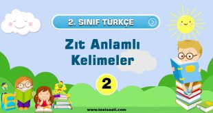 Zıt Anlamlı Kelimeler
