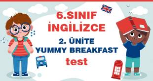 ingilizce test
