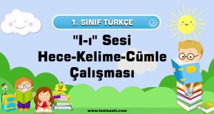 1.-Sınıf-''I-ı''-Sesi-Hece-Kelime-Cümle-Çalışması