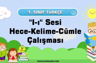 1.-Sınıf-''I-ı''-Sesi-Hece-Kelime-Cümle-Çalışması