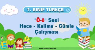1.Sınıf ''Ö-ö'' Sesi Hece - Kelime - Cümle Çalışması