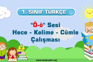 1.Sınıf ''Ö-ö'' Sesi Hece - Kelime - Cümle Çalışması