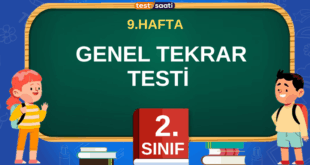 2. Sınıf-9.HAFTA GENEL TEKRAR TESTİ