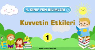 4.-Sınıf-Fen-Bilimleri-Kuvvetin-Etkileri-Testi-1