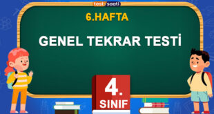 GENEL TEKRAR TESTİ