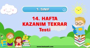 1.-Sınıf-14.-HAFTA-KAZANIM-TEKRAR-Testi