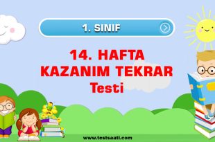 1.-Sınıf-14.-HAFTA-KAZANIM-TEKRAR-Testi