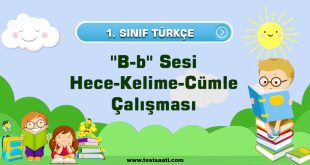 1. Sınıf ''B-b'' Sesi Hece-Kelime-Cümle Çalışması