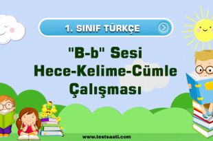 1. Sınıf ''B-b'' Sesi Hece-Kelime-Cümle Çalışması