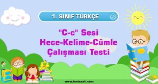 1. Sınıf-''C-c'' Sesi Hece-Kelime-Cümle Çalışması