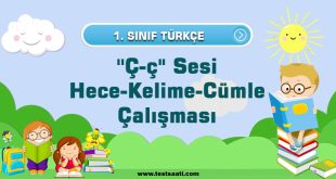 1. Sınıf ''Ç-ç'' Sesi Hece-Kelime-Cümle Çalışması