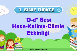1.-Sınıf-''D-d''-Sesi-Hece-Kelime-Cümle-Etkinliği