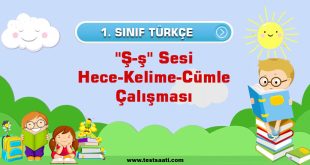 1.-Sınıf ''Ş-ş'' Sesi Hece Kelime Cümle Çalışması