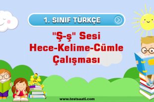 1.-Sınıf ''Ş-ş'' Sesi Hece Kelime Cümle Çalışması