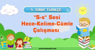 1.-Sınıf-''S-s''-Sesi-Hece-Kelime-Cümle-Çalışması