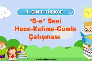 1.-Sınıf-''S-s''-Sesi-Hece-Kelime-Cümle-Çalışması