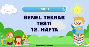 1. sınıf 12. Hafta Genel Tekrar Testi